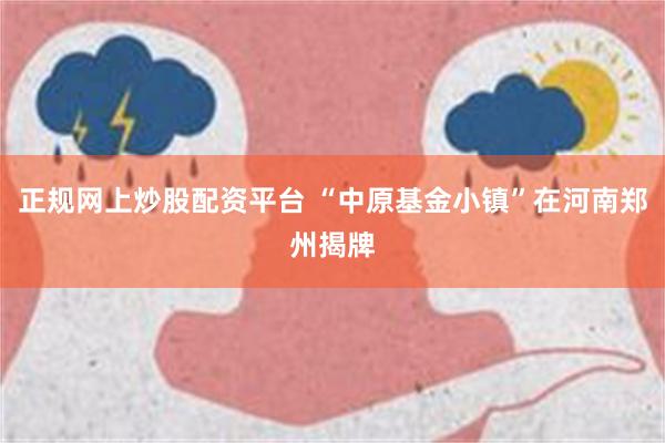 正规网上炒股配资平台 “中原基金小镇”在河南郑州揭牌