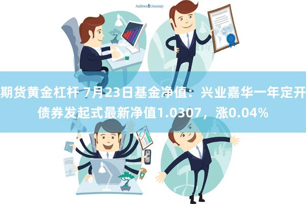 期货黄金杠杆 7月23日基金净值：兴业嘉华一年定开债券发起式最新净值1.0307，涨0.04%