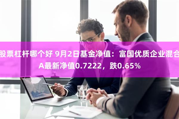 股票杠杆哪个好 9月2日基金净值：富国优质企业混合A最新净值0.7222，跌0.65%