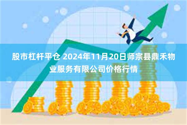 股市杠杆平仓 2024年11月20日师宗县鼎禾物业服务有限公司价格行情