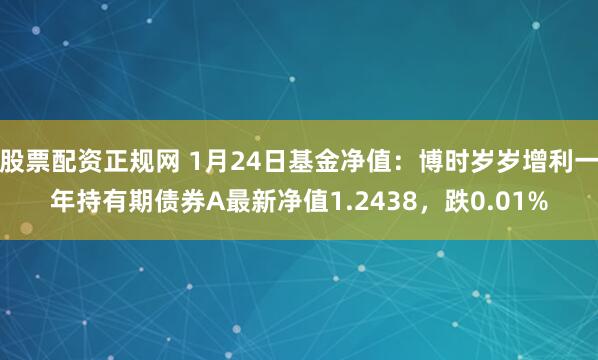 股票配资正规网 1月24日基金净值：博时岁岁增利一年持有期债券A最新净值1.2438，跌0.01%